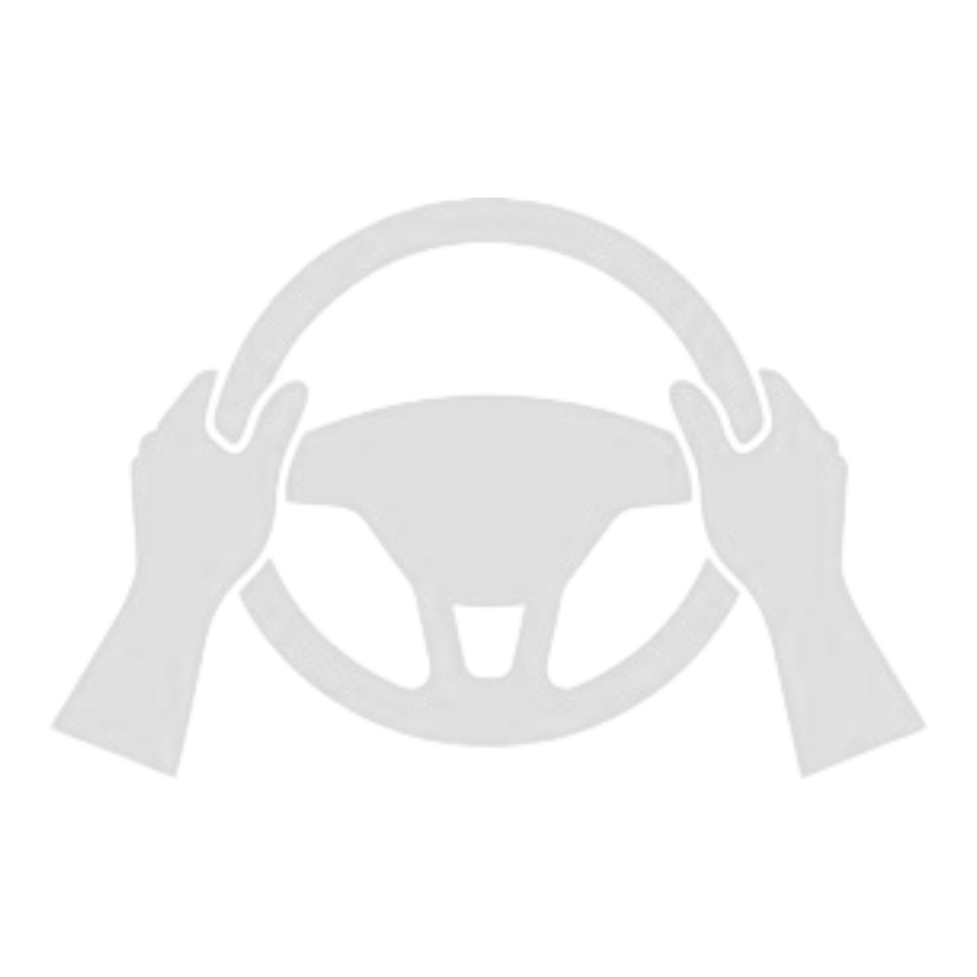 Driving Forces Icon